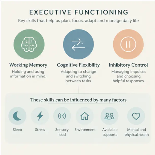 Executive Functioning Executive Functioning